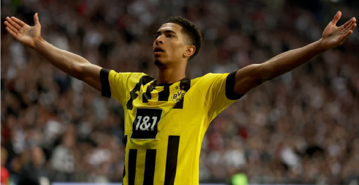 他场均贡献 他场均贡献